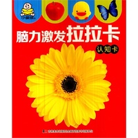小婴孩脑力激发认知卡 认知卡