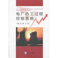 电厂热工过程控制系统