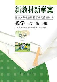 新教材新学案：数学（六年级下册）