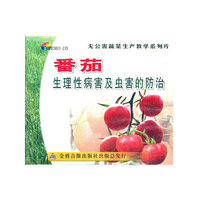番茄生理性病害及虫害的防治VCD