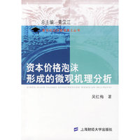 资本价格泡沫形成的微观机理分析