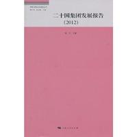 2012二十国集团发展报告