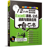 Excel 2013表格、公式、函数与图表应用傻瓜书