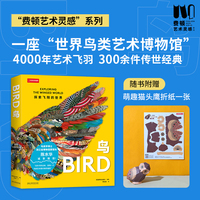 鸟：探索飞翔的世界（中国国家地理 “费顿艺术灵感”系列新作，自然赋予艺术灵感，拓展人类创意新知。一座“鸟类艺术博物馆”， 收录全球300余件经典作品，震撼再现4000年鸟类艺术史）