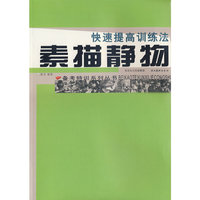 素描静物(快速提高训练法)/备考特训系列丛书