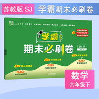 24春 小学学霸期末必刷卷 数学 六年级6年级下册 江苏版 江苏教育版