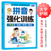 拼音强化训练 一年级
