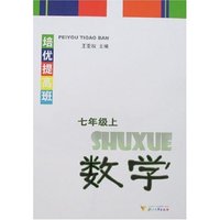 培优提高班-数学七年级上