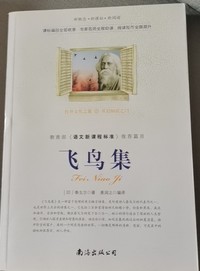 飞鸟集 