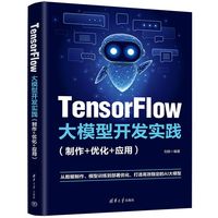 TensorFlow大模型开发实践（制作+优化+应用）