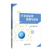 IT企业运营管理与实务