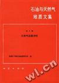 石油与天然气地质文集 第6集--天然气远景评价