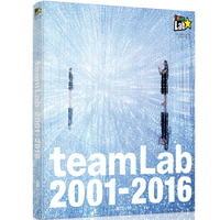 teamLab 2001-2016 (蒂姆联铂 : 2001-2016)