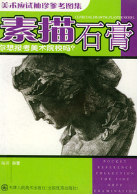 素描石膏/美术应试袖珍参考图集