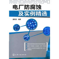 电厂防腐蚀及实例精选