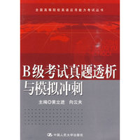 B级考试真题透析与模拟冲刺