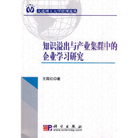 知识溢出与产业集群中的企业学习研究