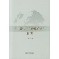 中非法三方合作论坛集萃