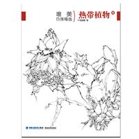 唯美白描精选?热带植物（四）