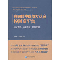 真实的中国地方政府投融资平台