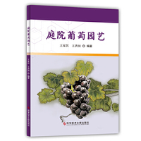 庭院葡萄园艺