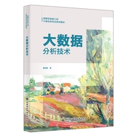 大数据分析技术