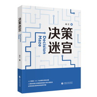 决策迷宫