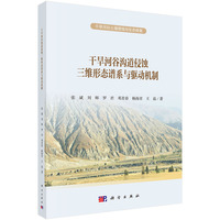 干旱河谷沟道侵蚀三维形态谱系与驱动机制