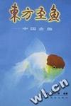 东方圣鱼(中国金鱼)