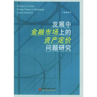 发展中的金融市场上的资产定价问题研究