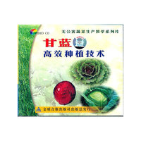 甘蓝高效种植技术VCD