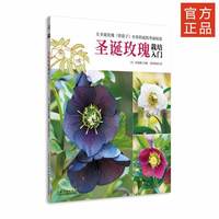 圣诞玫瑰栽培入门