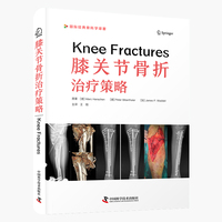 膝关节骨折治疗策略 国际经典骨科学译著
