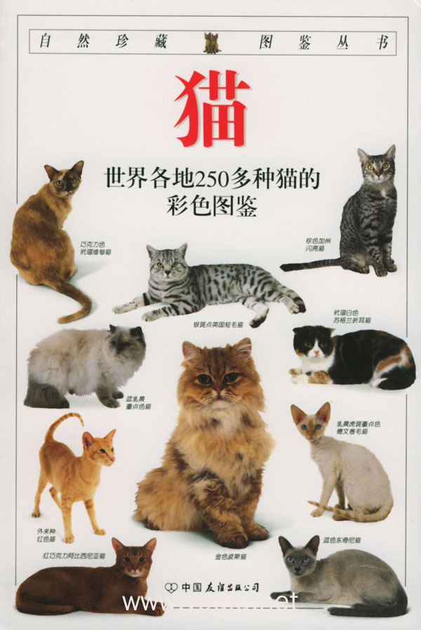 猫--自然珍藏图鉴丛书