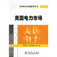 美国电力市场/中国电力市场建设丛书