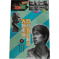 HOLD住 艺考族—石膏五官解剖人物素描