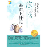 海滩上种花-我爱阅读青少年经典文库