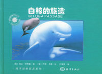 白鲸的旅途——海洋动物玩具系列