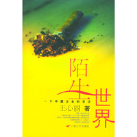 陌生世界：一个中国少女的日记