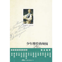 少年维特的烦恼