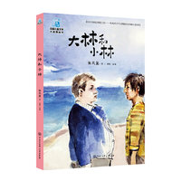 中国儿童文学大视野丛书--大林和小林》