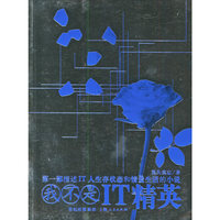 我不是IT精英