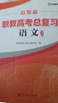 职教高考总复习.语文