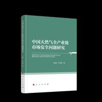中国天然气全产业链市场安全问题研究