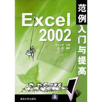 Excel 2002 范例入门与提高