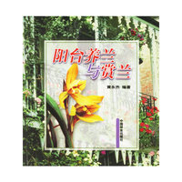 阳台养兰与赏兰