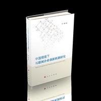 中国情境下互联网企业创新机制研究