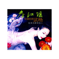 春江谣 安徽姑娘武杨 DSD(CD)