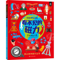 中国少儿百科   核心素养提升丛书  看不见的磁力
