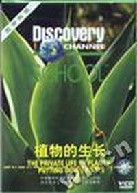 (VCD)植物的生长-Discovery生命科学